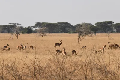 DSC_3398 (Large).JPG